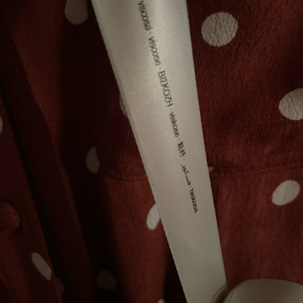 NWOT: Uterqüe Brown Midi-Dress with Polkadots - Picture 9 of 12